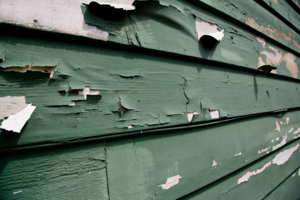 Best Shed Removal  in Peach Lake, NY